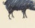 1960s Pastel Drawing of a Pig by James L. Bruch For Sale - Image 4 of 8