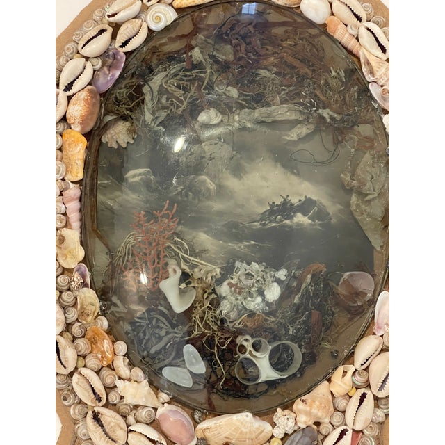 1900 - 1909 British Colonial Sea Shell Oval Sailors Valentines For Sale - Image 5 of 6