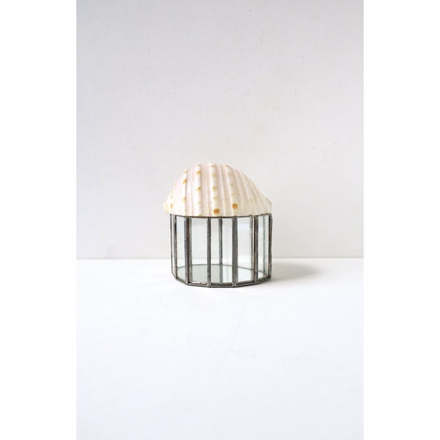 Seashell Jewelry Trinket Box For Sale - Image 9 of 12