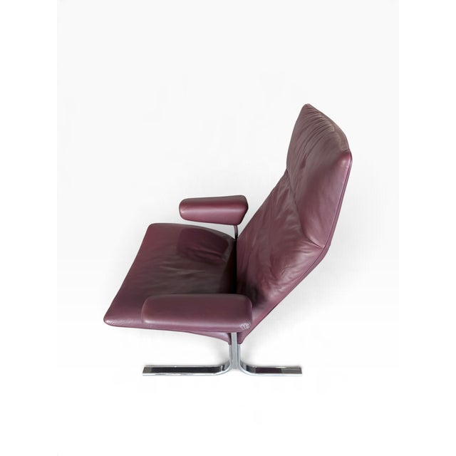 Animal Skin Set of DS 2030 Leather Chair with Ottoman from de Sede, 1970s For Sale - Image 7 of 9