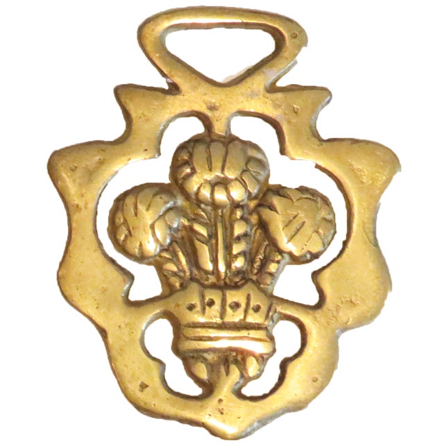 Early 20th Century Antique British Equestrian Horse Brasses, Set of 4 For Sale - Image 5 of 5