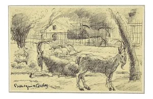 Mogniat-Duclos Bertrand, Animals In the Enclosure, Artwork, 1950s