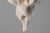 Aifunghi Morchella Pendant Light by Vito Boox For Sale - Image 4 of 9