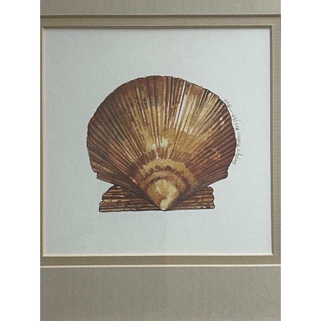 1960s Coastal Vintage Sea Shell Prints Framed - Set of 3 For Sale - Image 4 of 5