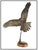 1970s Bald Eagle - Free, William Hald For Sale - Image 4 of 7