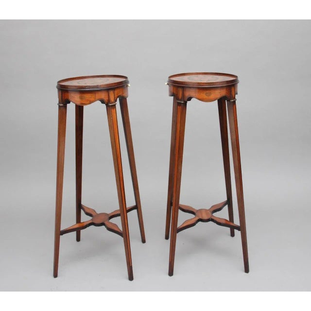 Brown Mahogany and Inlaid Urn Stands, 1900s, Set of 2 For Sale - Image 8 of 16