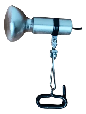 Mid-Century Minimalist Shelf Lamp from Swisslamps International