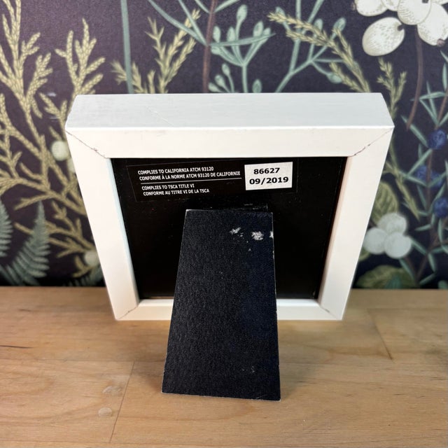 Dandelion Wishes Miniature Original Watercolor Painting Signed and Framed For Sale - Image 4 of 4