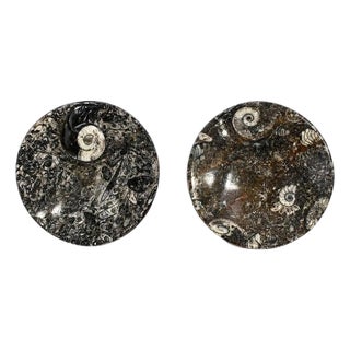 Pair Ammonite Plates Fossil Millions Years Natural Finely Crafted For Sale