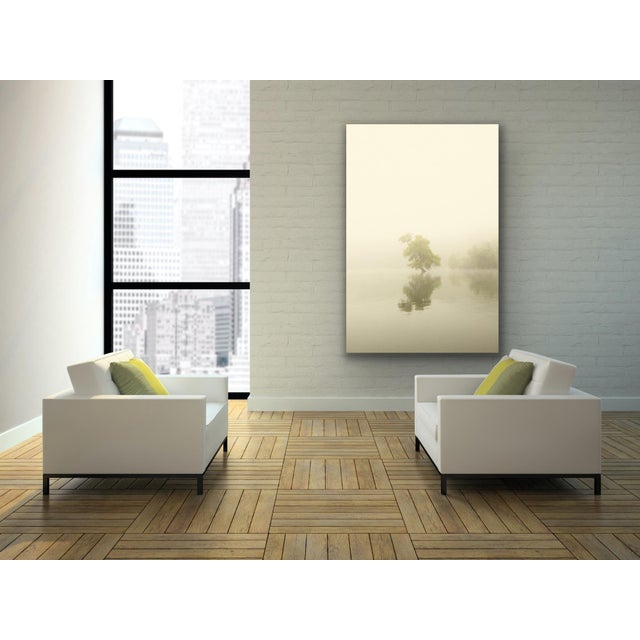 Contemporary "Tree of Life 2" Contemporary Minimalist Landscape Photograph For Sale - Image 3 of 3