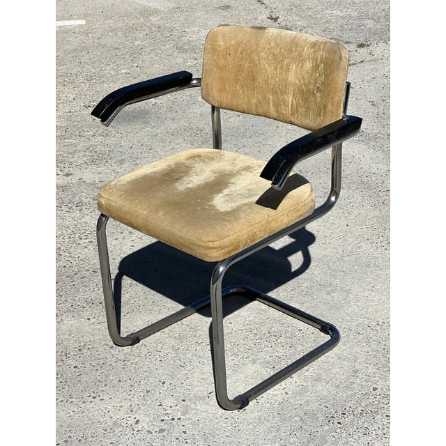 S64 Armchairs by Marcel Breuer for Thonet, 1950s, Set of 6 For Sale - Image 6 of 7