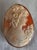 Gold Italian Neapolitan Gold-Carved Shell Cameo Brooch Pendant, 1988 For Sale - Image 8 of 17