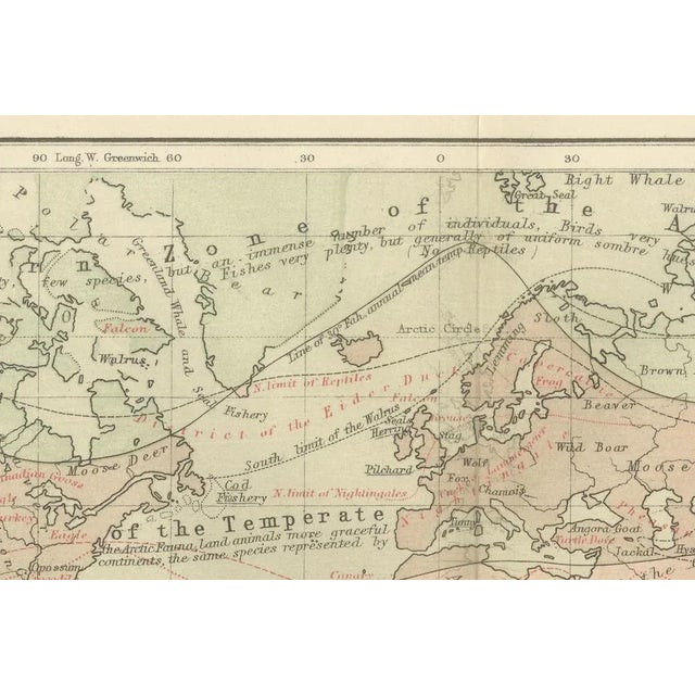 Distribution Map of Fauna by Climate Zones by A. K. Johnston, 1852 For Sale - Image 4 of 11