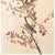 John James Audubon 1966 Vintage Cottage Style Print "Tree Sparrow" After John James Audubon For Sale - Image 4 of 8