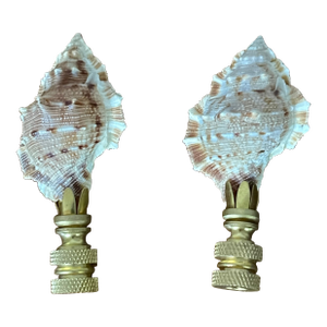 Vintage Pair of Sea Shell Lamp Finials