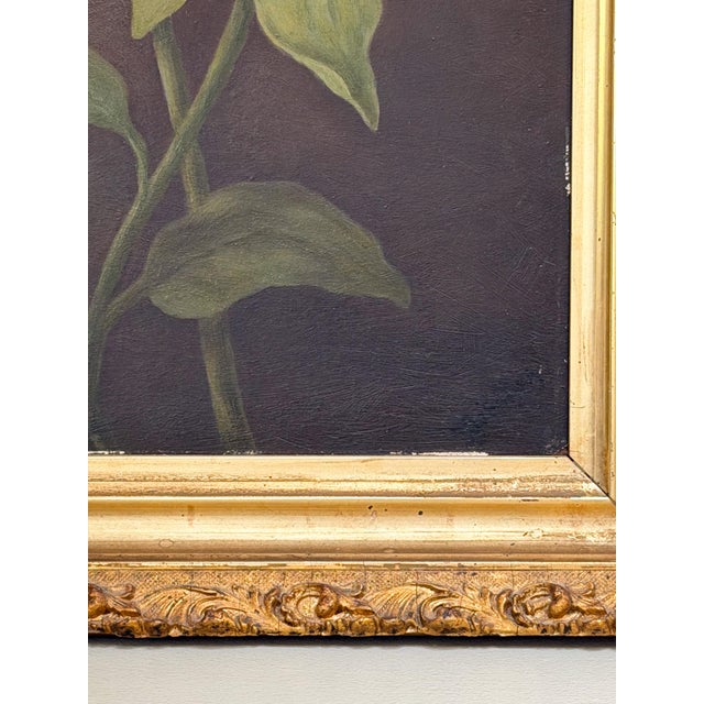 Antique Victorian Sunflower Oil Painting, 19th Century Floral Still Life in Gilt Frame For Sale In Boston - Image 6 of 8