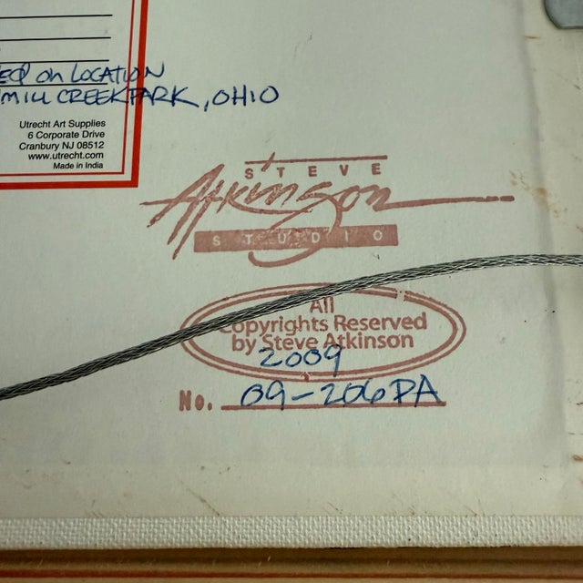 2000 - 2009 2009 Steve Atkinson Oil Painting of Lantermans Falls- Framed For Sale - Image 5 of 12