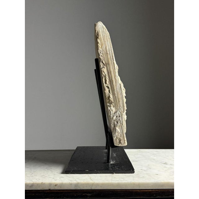 Carved Stone Fragment Medusa, 18th Century For Sale - Image 3 of 14