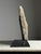 Carved Stone Fragment Medusa, 18th Century For Sale - Image 3 of 14