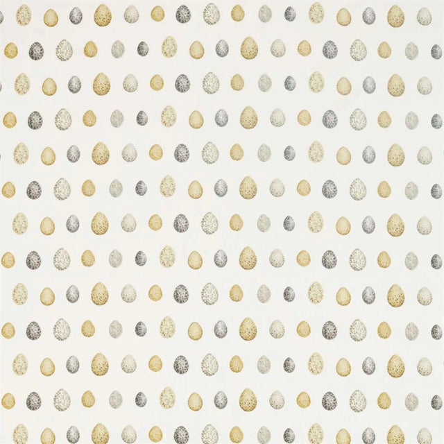 Sanderson Nest Egg Fabric in Corn/Graphite For Sale