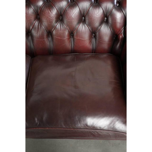 2000 - 2009 Cowhide Chesterfield 2.5-Seater Sofa in Oxblood Red For Sale - Image 5 of 14