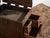 Antique Japanese Storage Box For Sale - Image 4 of 14