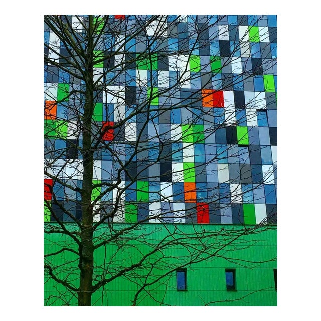 Cindi Emond, Colour Pop, Photograph, 2016 For Sale