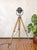 Wood Matte Black Electric Patt 123 Theater Lamp on Wooden Tripod Floor Lamp from Strand, 1950s For Sale - Image 7 of 18