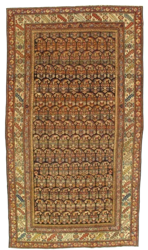 Early 20th Century Antique Hamadan Rug - 5′ × 8′9″