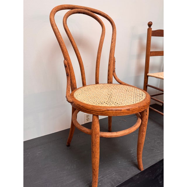 Bentwood Chair Hand Caned With Advanced Weave, Daisy and Button For Sale - Image 9 of 13