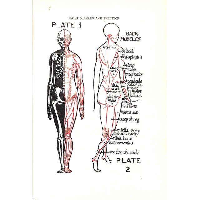 "Fashion Drawings & Dress Design" 1928 Hall, Mabel L. For Sale - Image 14 of 14