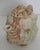 Beige Vintage Ceramic Garlic Bulb Face Tea Pot W/Lid Kitsch Farmhouse Eclectic Fun For Sale - Image 8 of 12