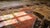 1880s Red Medallion Antique Persian Bijar Rug 3'8" X 7'8" Handknotted Wool Carpet For Sale - Image 14 of 15