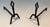 1950s Modernist Wrought Iron Andirons - a Pair For Sale - Image 4 of 12