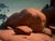Stalemate by Diego Glazer | Oil on Canvas Landscape with rocks and a tree For Sale - Image 4 of 5
