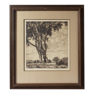 “Hilltop Elms” Landscape Etching by Luigi Lucioni For Sale