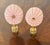 Natures beauty pair of Pink Urchins on a brass Bases.