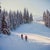 Skiers In The Woods by Toni Frissell Cross-country skiers make their way through a wood, Klosters, Switzerland, 1951....