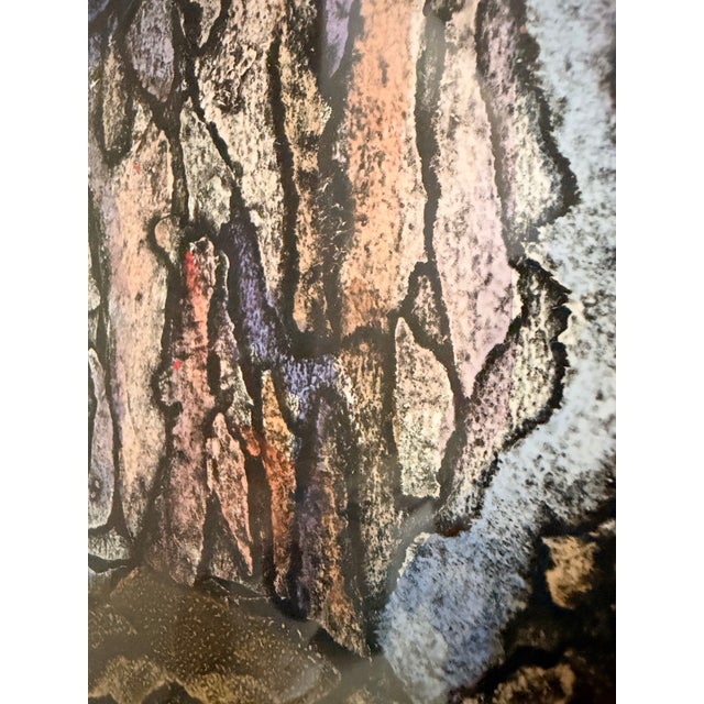 Rita Miller "Colorado Black Canyon" Framed Monoprint, Signed & Dated 1995 For Sale - Image 9 of 12