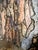 Rita Miller "Colorado Black Canyon" Framed Monoprint, Signed & Dated 1995 For Sale - Image 9 of 12