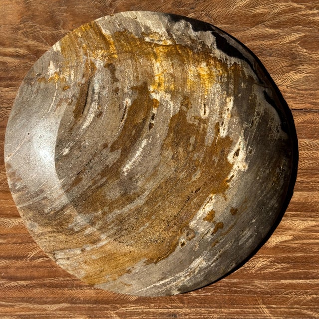 1980s Trinket Tray in Petrified Orange-Grey Wood, 1980s For Sale - Image 5 of 8