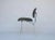 Mid-Century Modern 1970s Vintage Charles and Ray Eames for Herman Miller Dcm Chair For Sale - Image 3 of 10