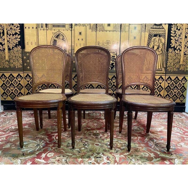 Louis Xvi Style Cane Dining Chairs, Set of 6 For Sale - Image 11 of 11
