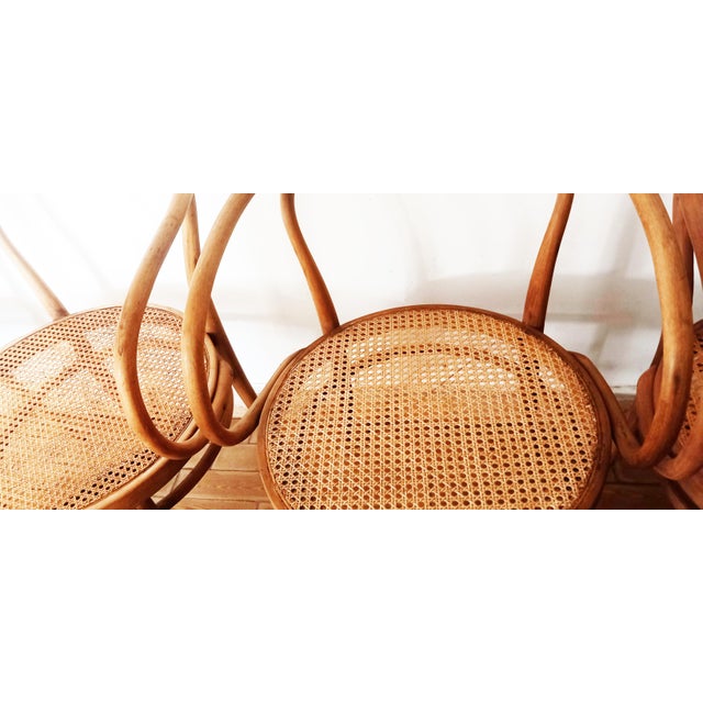 1950s Set of Thonet Model 209 Armchairs by Michael Thonet, 1950s For Sale - Image 5 of 11