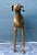 Brass Vintage Monumental Brass Greyhound For Sale - Image 8 of 17