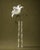 This vintage XL glass vase from the 1980s is a striking Italian design inspired by the elegant form of bamboo. Its tall,...
