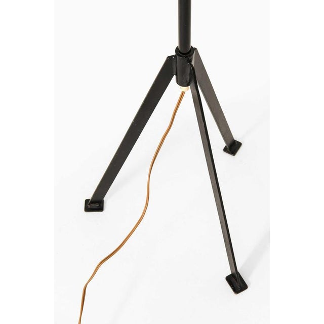 Scandinavian Modern Floor Lamp in Brass and Lacquer, 1950s For Sale - Image 4 of 12