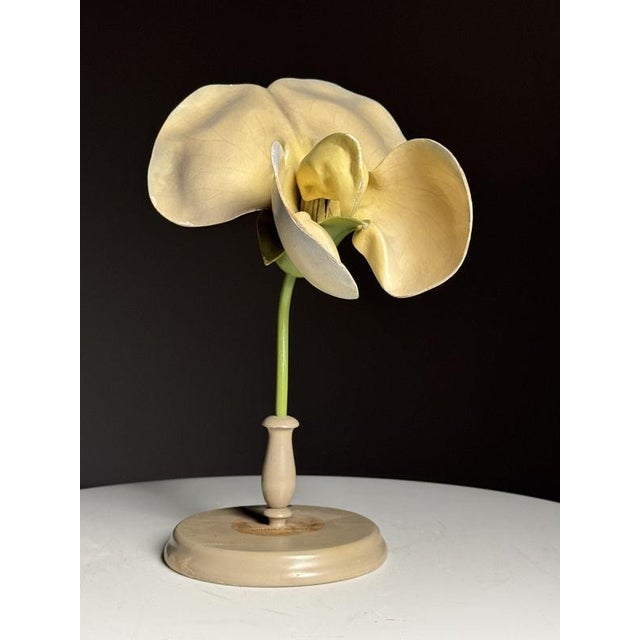 German Botanical Flower Model, 1900 For Sale - Image 5 of 18