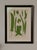 Set of Four 19th Century English Victorian Nature Printed Ferns in Black Frames For Sale - Image 4 of 12
