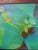 Late 20th Century Framed Original Abstract Acrylic Painting Teal Green Still Life Art, Wood Frame For Sale - Image 12 of 14